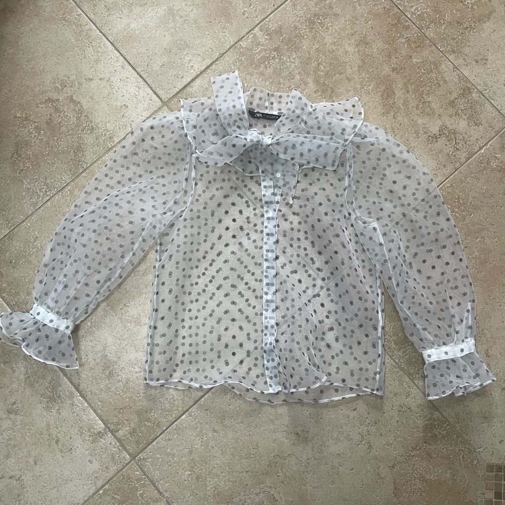 ZARA polka dot organza blouse